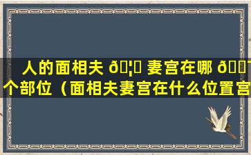 人的面相夫 🦅 妻宫在哪 🐯 个部位（面相夫妻宫在什么位置宫不好的图）